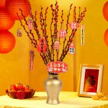 花点时间银芽柳33件套大礼包